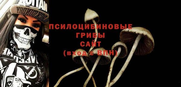 МДМА Богородицк