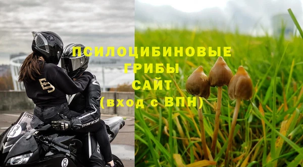 гашишное масло Богданович