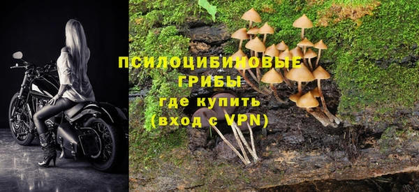 гашишное масло Богданович