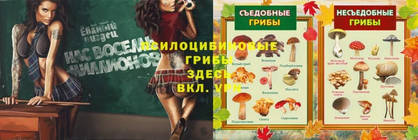 МДМА Богородицк